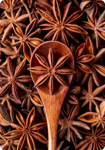 Wooden spoon with star anise